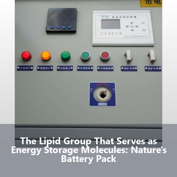 The Lipid Group That Serves as Energy Storage Molecules: Nature's Battery Pack